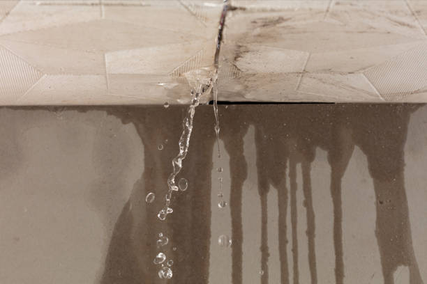 Professional Sewage Cleanup technician working in Lillian, TX